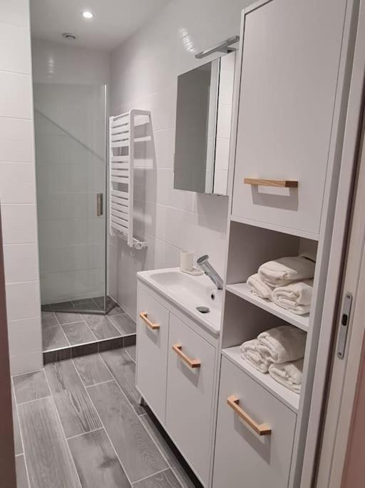 Elegant 2 Chambres Vieille Ville Безансон Екстериор снимка